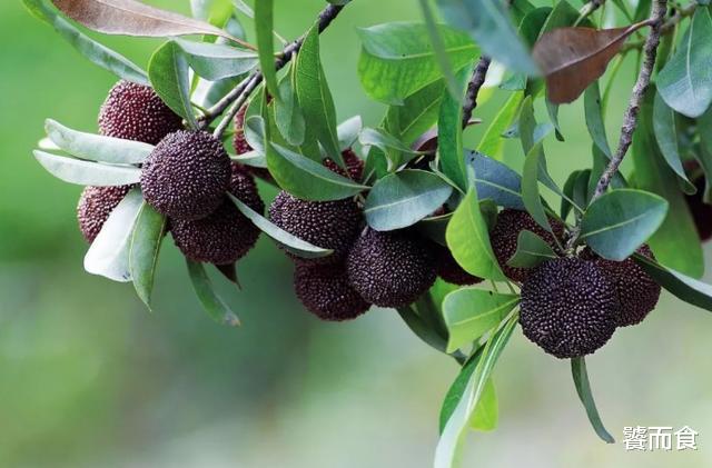 小龙虾|公认堆满“寄生虫”的4种美食，尤其是第二种，很多人吃了就上瘾