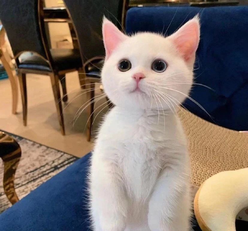 『』12星座是用这样的方式来爱你的，请别担心哦！