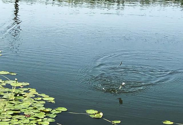 【】新手钓友牢记钓鱼7忌，虽然不能助你多钓鱼，但也能不让你放炮