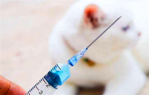 『狂犬疫苗』古代没有狂犬疫苗，被狗咬了咋办？都靠这一土办法，造福人类千年