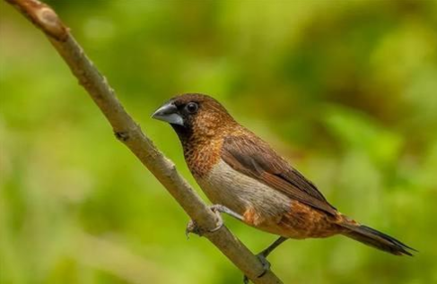 『生肖』4生肖惹不起，6月天降大喜，财神入家中，正财，横财追着跑