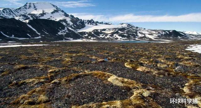 #北极#北极现40000年远古生物,已确定种类,人类最担心的问题在发生?