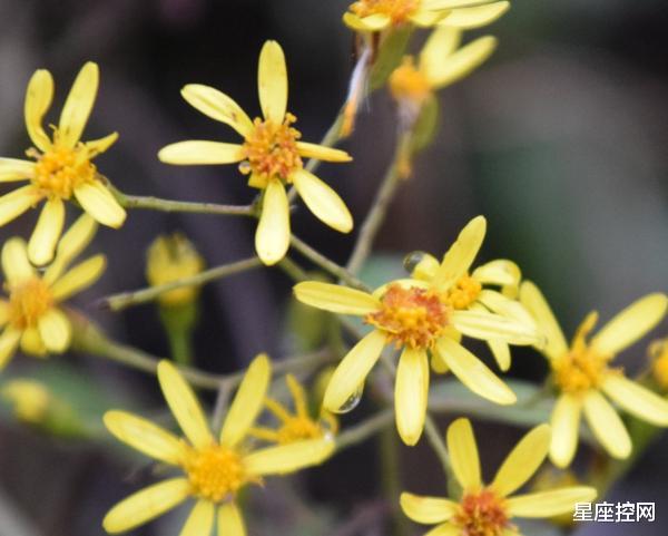 |哪些月份出生的人，今年鼓足了劲向前冲，年底将有喜事找上门！