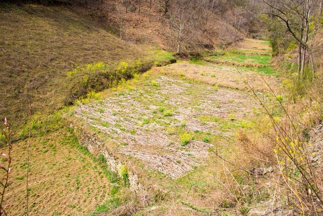 『』行走秦岭水泉沟：房都建在高高的山坡上，远看仙气很足，诗情画意
