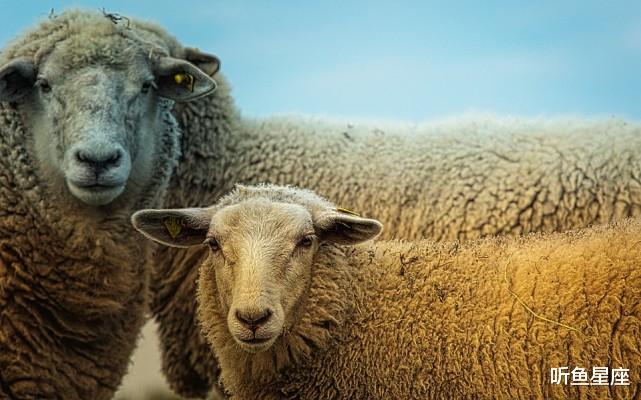 生肖|未来3个月，桃花盛开、横财不断的几个属相，双喜临门