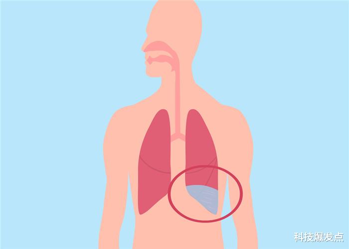 「科学家」科学家发现全新呼吸技术,人类有望在海底生存,曾救过一名婴儿!