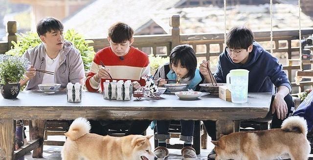 [张子枫]《向往4》还没开播，导演迫不及待官宣一位嘉宾，网友顿时激动了