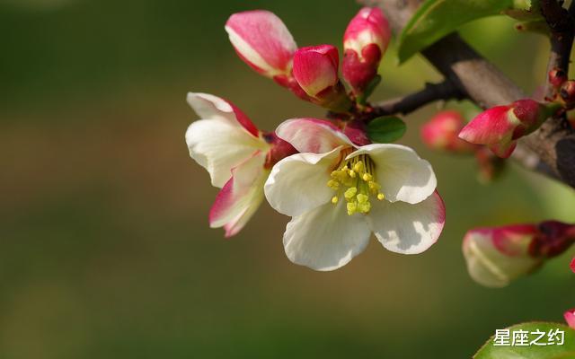 『金牛座』在5月份，不离不弃，深情守护，幸福驾到的三大星座