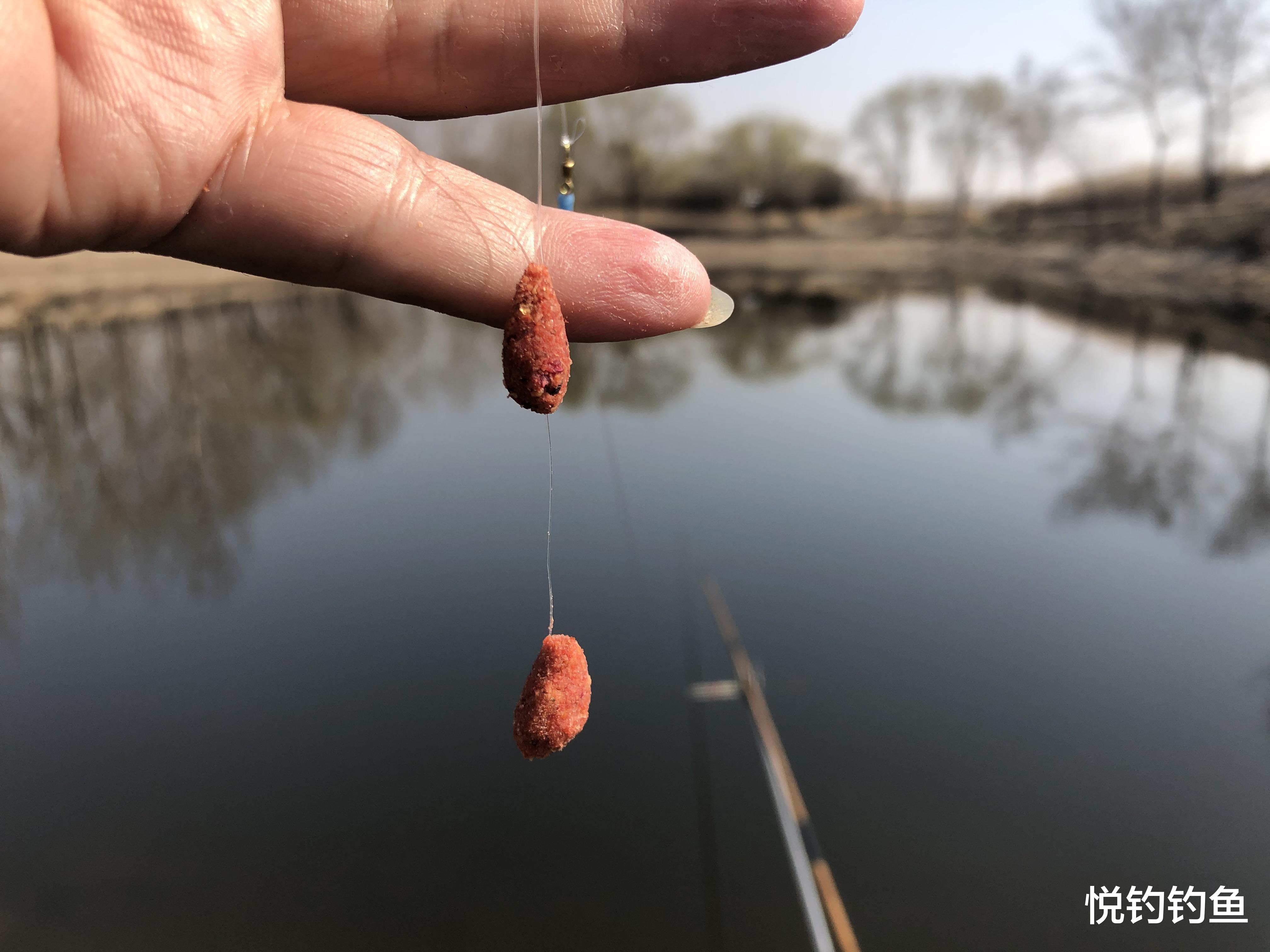 鲫鱼|钓鱼时候变化如此之多,也别忽略路上的风景……