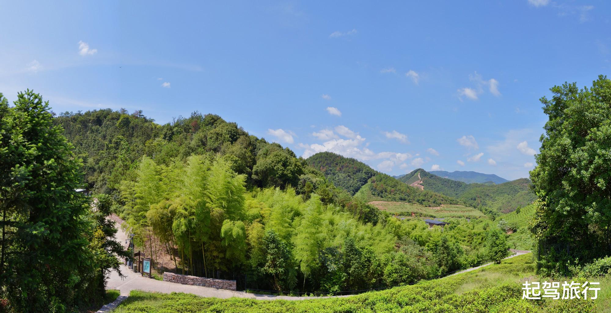 #莫干山#杭州上海南京三地共同的后花园，为何让人百去不厌？理由不用质疑