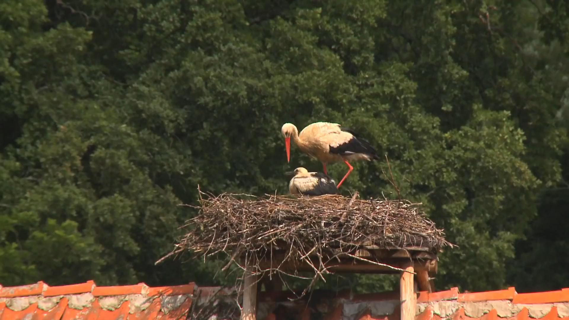『』农历这几月份出生的人,4月过后,事业有成 财运来,生活无压力