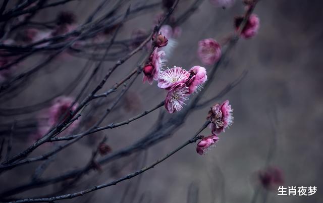 生肖|稳住！8月，一事顺，事事顺，3生肖喜笑颜开，绝渡逢舟，财势上升