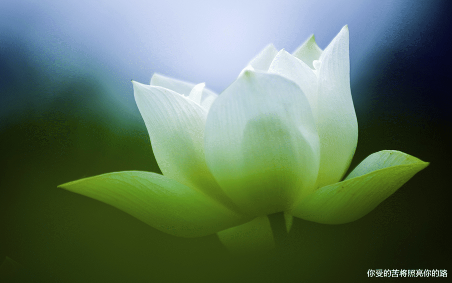 处女座■10天横财运大旺,3生肖运势冲天,贵人登门,翻身做大富翁