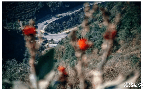 「印度」258票无一人反对，争议地区纳入国家新版地图，印度外交部强烈反对