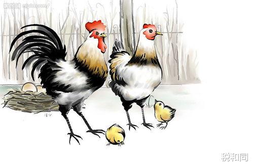 运势|大金鸡：财星照射，财库满溢，最近三天，运势一路顺畅，日子添福