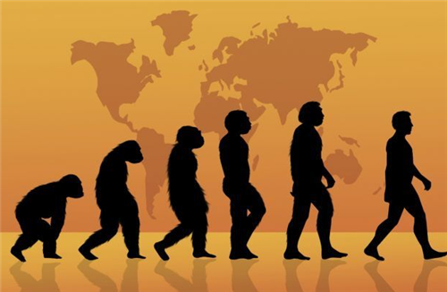 基因|人类虽进化出了语言，却付出了“惨痛代价”，只有黑猩猩得以幸免