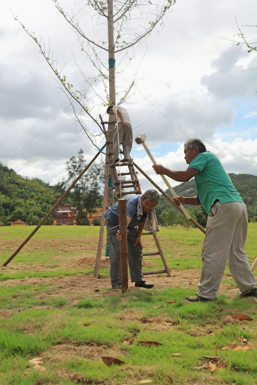 乐清日报|12级！“黑格比”再升级！乐清这7个乡镇需重点关注！最大可能登陆温州沿海