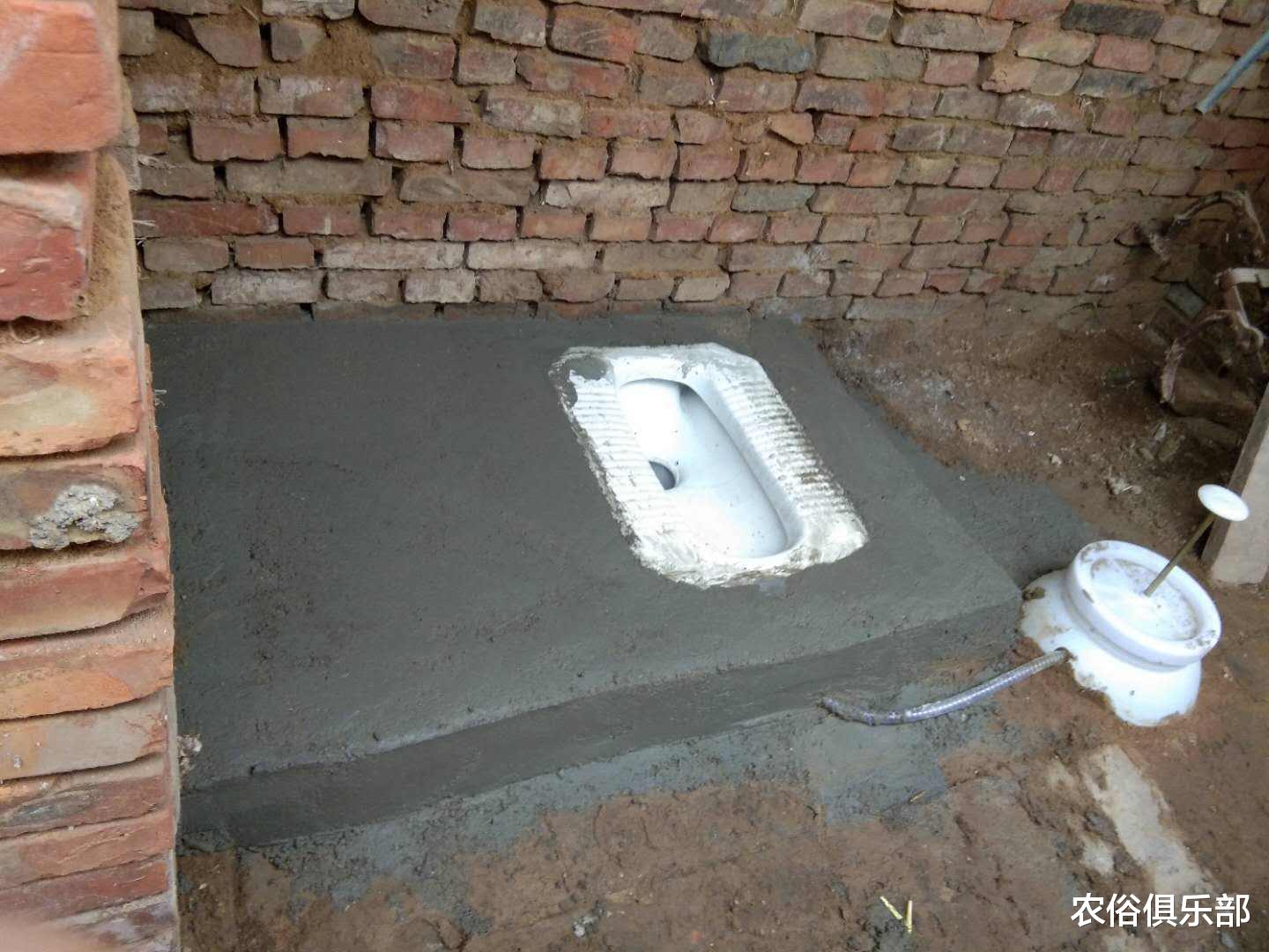 「」厕所和猪圈不能建在屋外？农村这项改造，你们村实现了多少？