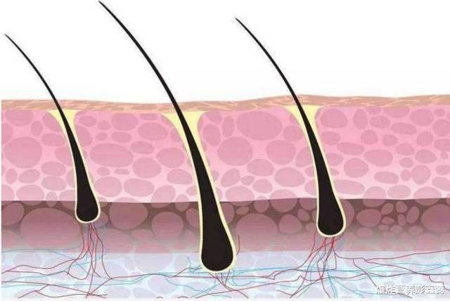 『长寿』身体这3个地方毛发越旺盛，越和长寿有关系，不用有自卑之心了
