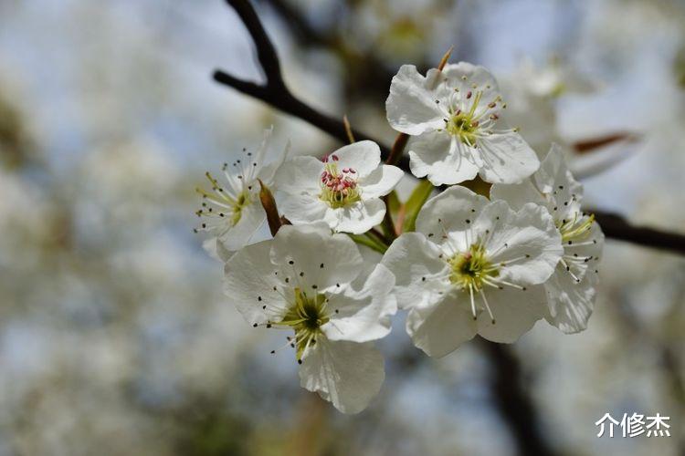狮子座|下个月内，昔日旧爱重回身边，再续前缘，恩爱到白头的四大星座！