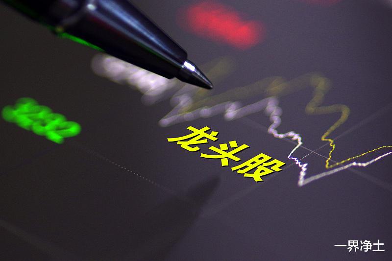 「注册制」注册制背景下，A股中这些全球龙头公司已成香饽饽（建议收藏）