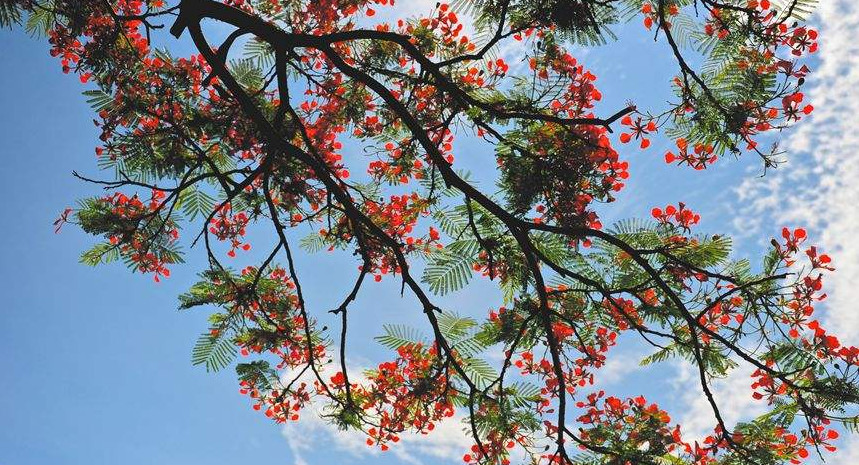 生肖|8月5号后这三生肖财富大涨，升职加薪，财运旺大发