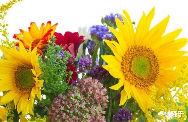 金牛座|算命的说，10月吉星高照，横财不断，顺风顺水，心情大好的生肖