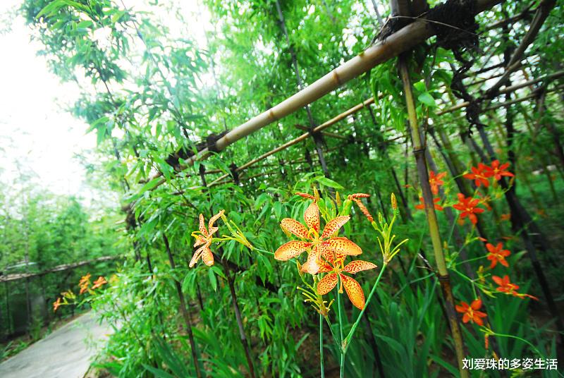 「离职」离职后,不要轻易说这五句话,不然有你后悔的时候