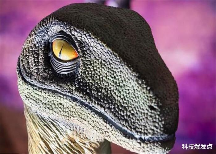 「南方古猿」地球上会不会进化出人类的天敌，以人类为食？几百万年前曾有过！