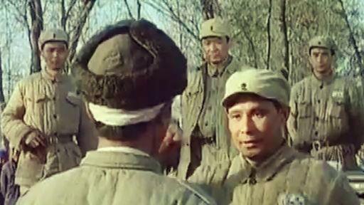 #淮海战役#淮海战役为何越打越大?敌我双方兵力的变化过程,影响着战场格局