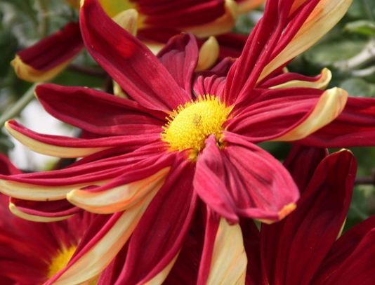 大富大贵|未来一周，4属相贵人有相助，富贵不愁，财源滚滚，生活大富大贵