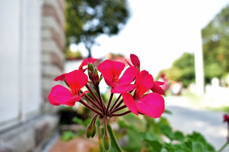 生肖|近期内，缘分与桃花跌跌撞撞，真爱袭来，期待美好余生的4大生肖