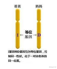 基因|黑人需要多少代混血，才能完全拥有白人特征？