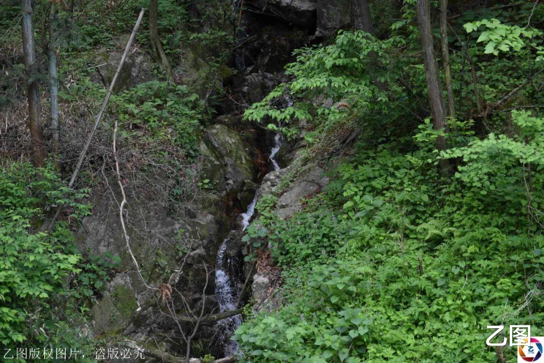 「农家乐」深山夫妻做农家乐数年，用泉水煮饭靠野菜撑场子，一年挣十多万