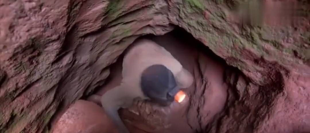 丰田汉兰达|每辆特斯拉的背后，都可能滴着刚果儿童的泪水