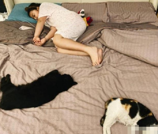 薇娅|带货一姐薇娅的豪宅，室外带有欧式花园，现实中的人生赢家