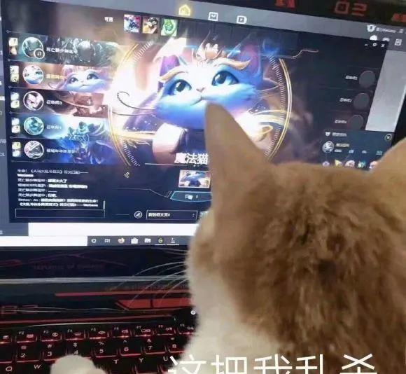 「设计师」为什么还不移除悠米？设计师：我们认为悠米是一位成功的英雄