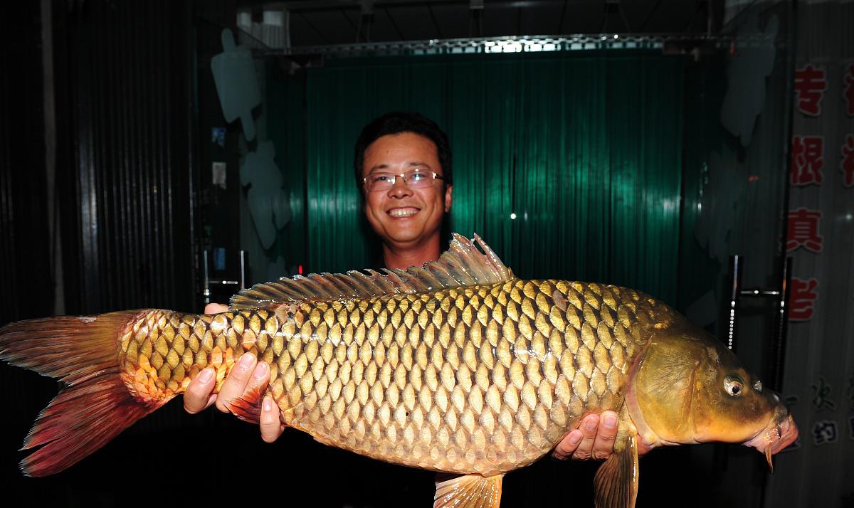 饵料|收竿鱼到底存在不存在？为何那么多钓友盼望收竿鱼？