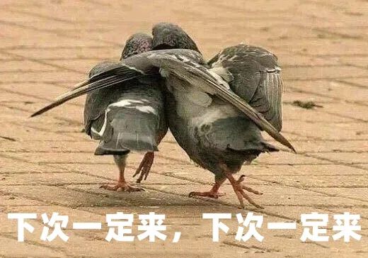 苹果|为了搞苹果百亿补贴，这些平台都疯了