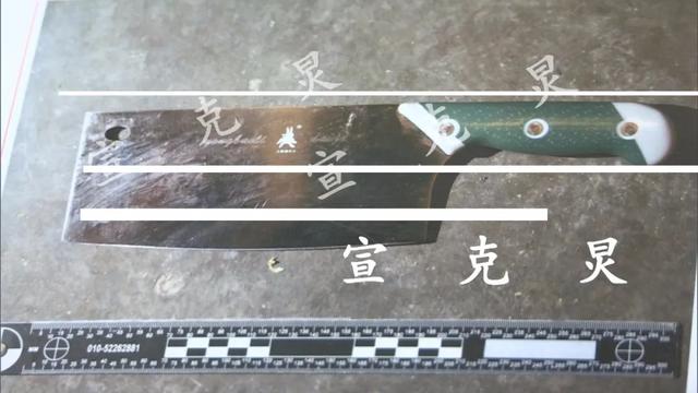 灵隐寺：22岁儿子把母亲接来上海，最终却想亲手勒死她，一切都源于…