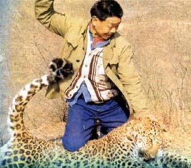 豹子▲人类能徒手打死一头豹子？这几个罕见的成功者，都有一个共同秘诀