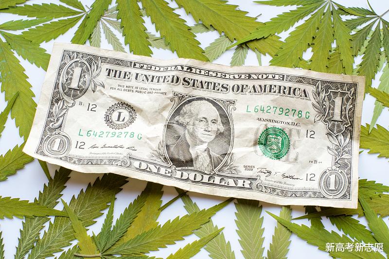 GDP|“国内大循环为主体”的背景和困难，没钱消费，就没有循环的基础