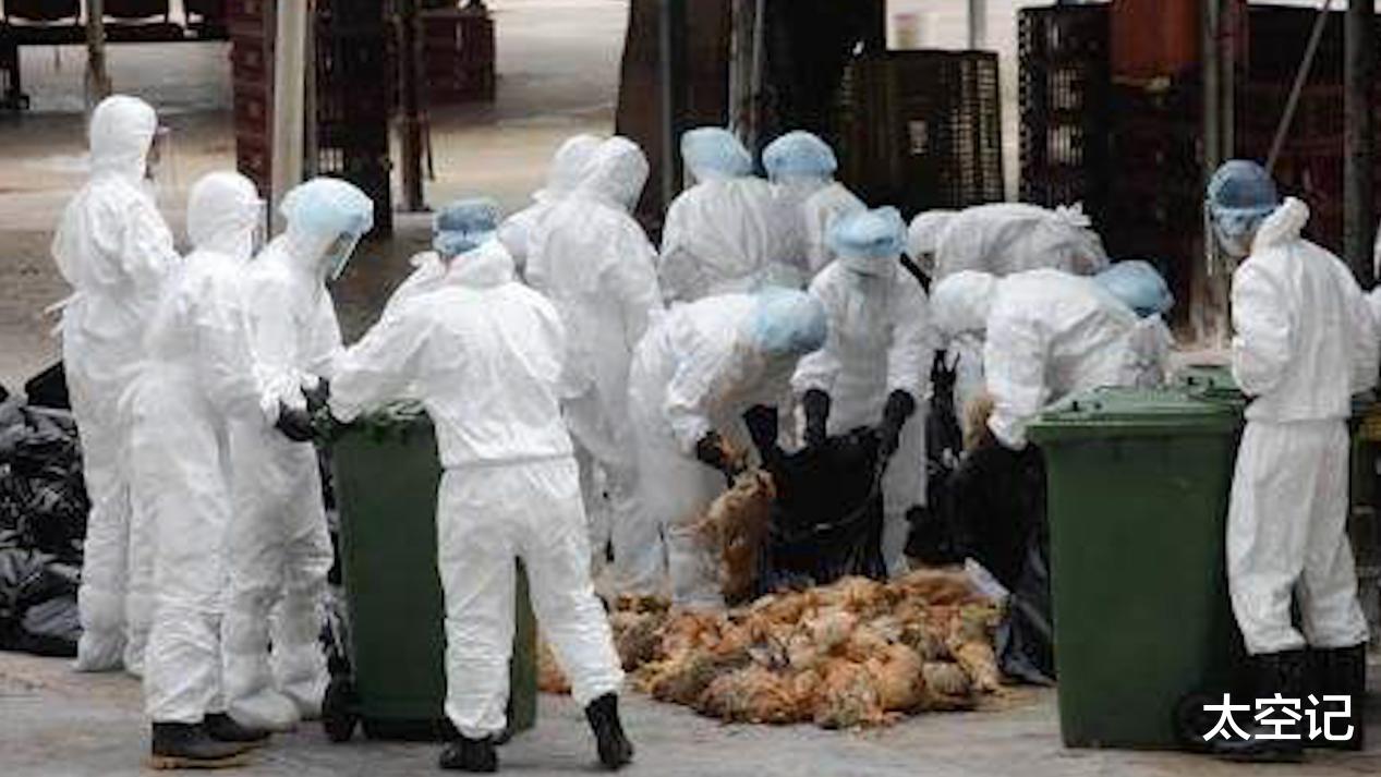 【匈奴】禽流感病毒的源头，是在哪里出现的？为你揭开神秘面纱