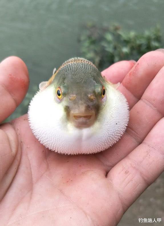 ：5月过了一半还在用春天的方法打窝？没这样调整，难怪钓不到鱼