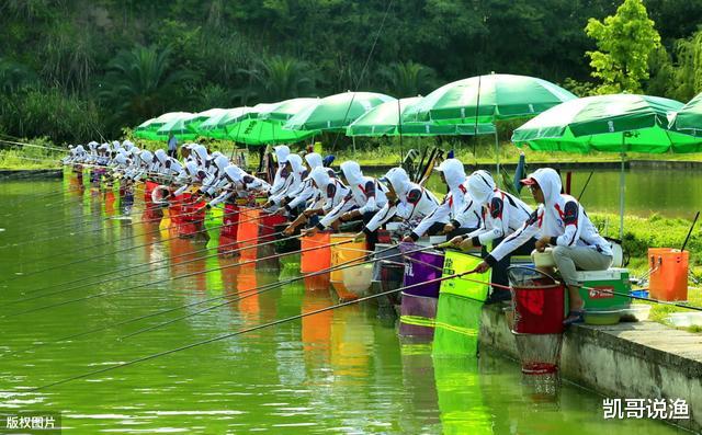 『』玩黑坑思路最重要，别只依赖添加剂，了解鱼情用钓法取胜