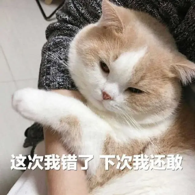 郑爽|她这次是不是有点炒过了！