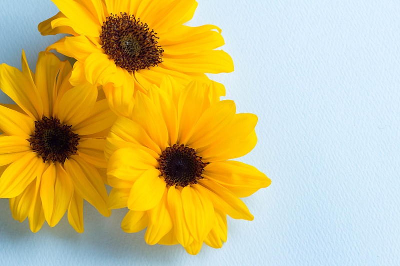 生肖|8月开始财进万两，好事不断，事业顺遂，让人惹不起的4生肖