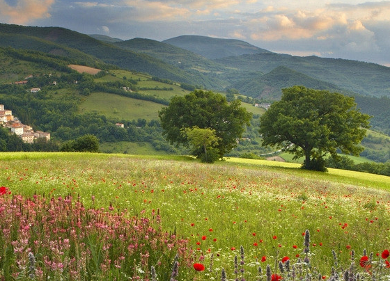 吉星|8月上旬开始，4属相吉星高照，好运降临，生活越来越精彩