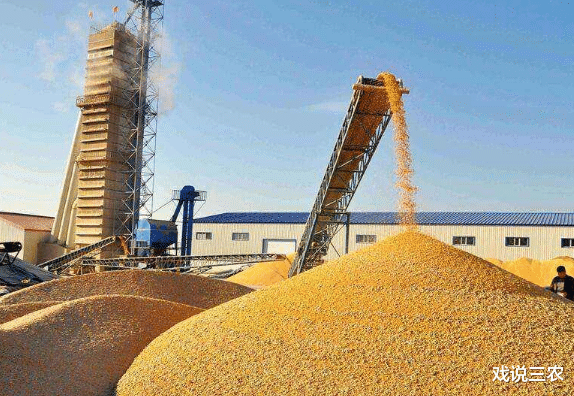 粮价|如果大家都不种地，先挨饿的是农民还是城里人？历史告诉我们答案