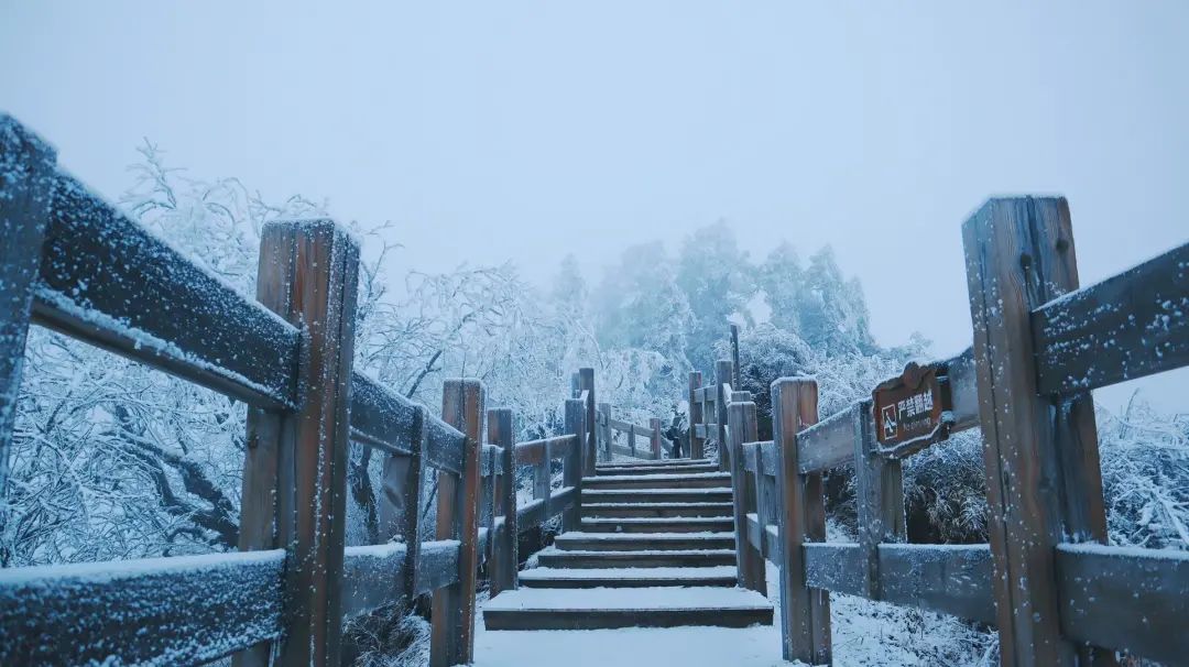 成都|冷冷冷，最高温仅8℃！真一秒入冬！成都这个地方已经下雪了